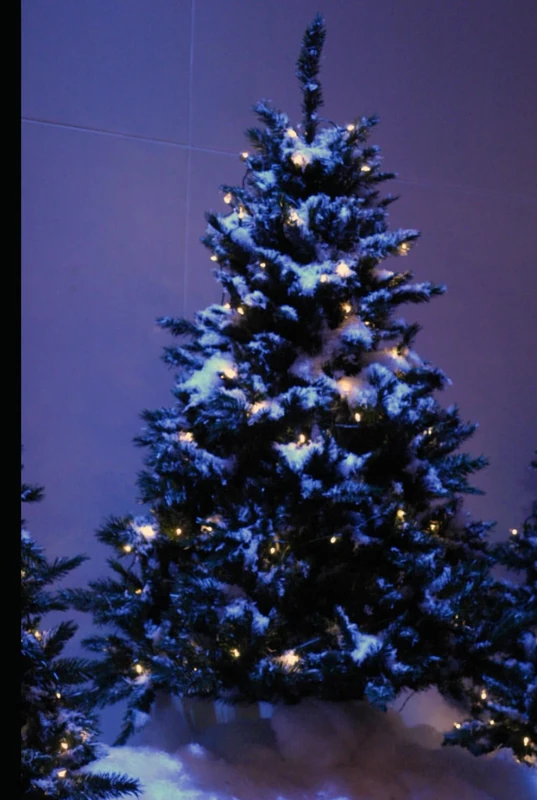 Majosta - The Night Before Christmas Children's Book