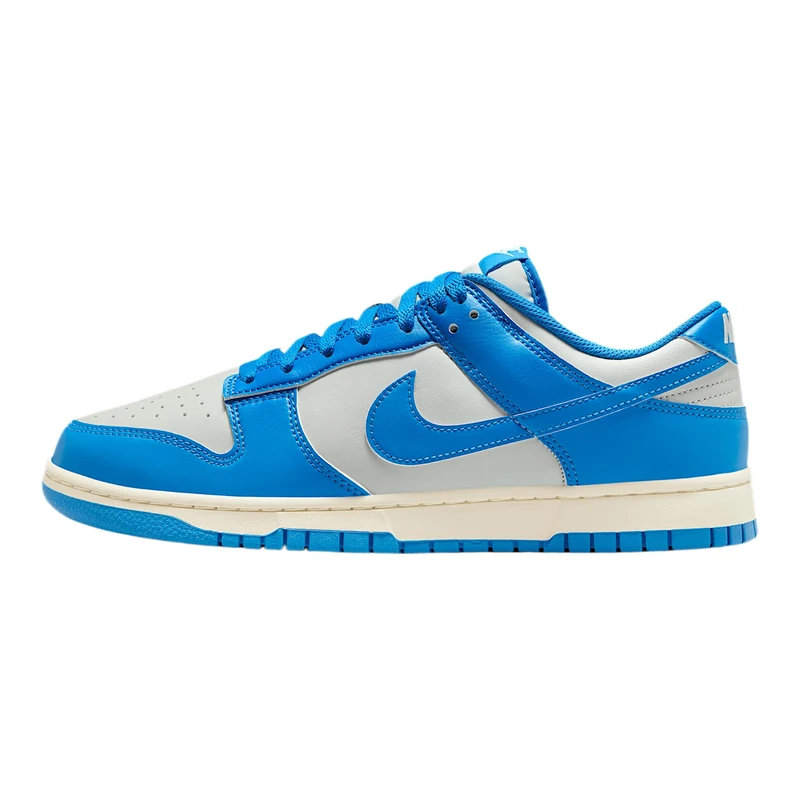 Nike Dunk Low Retro Sneaker