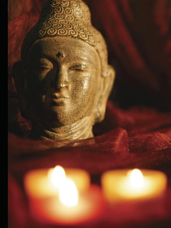 My Autobiography: Part-2