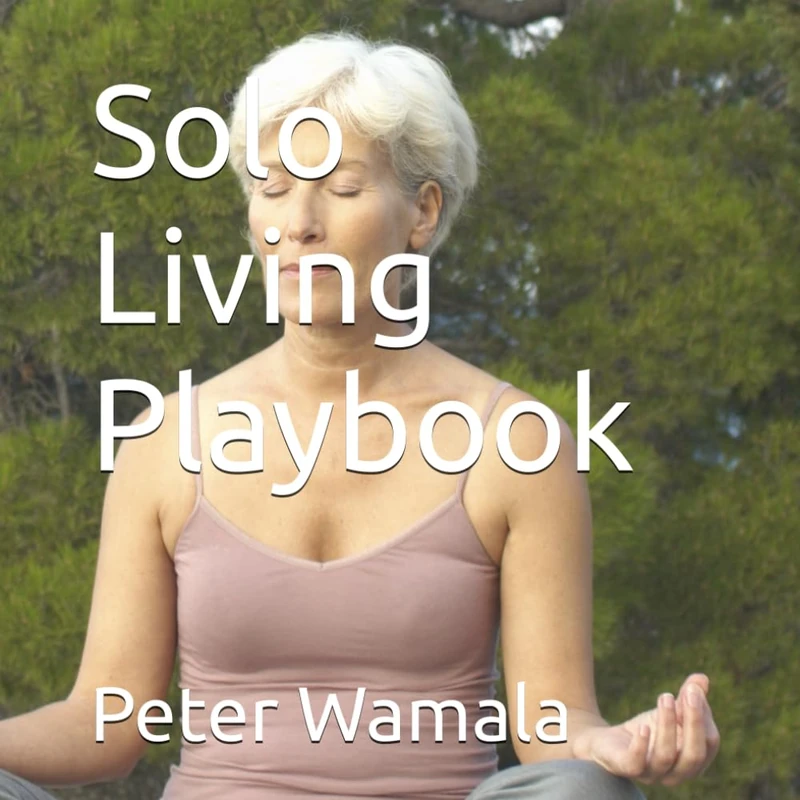 Solo Living Playbook