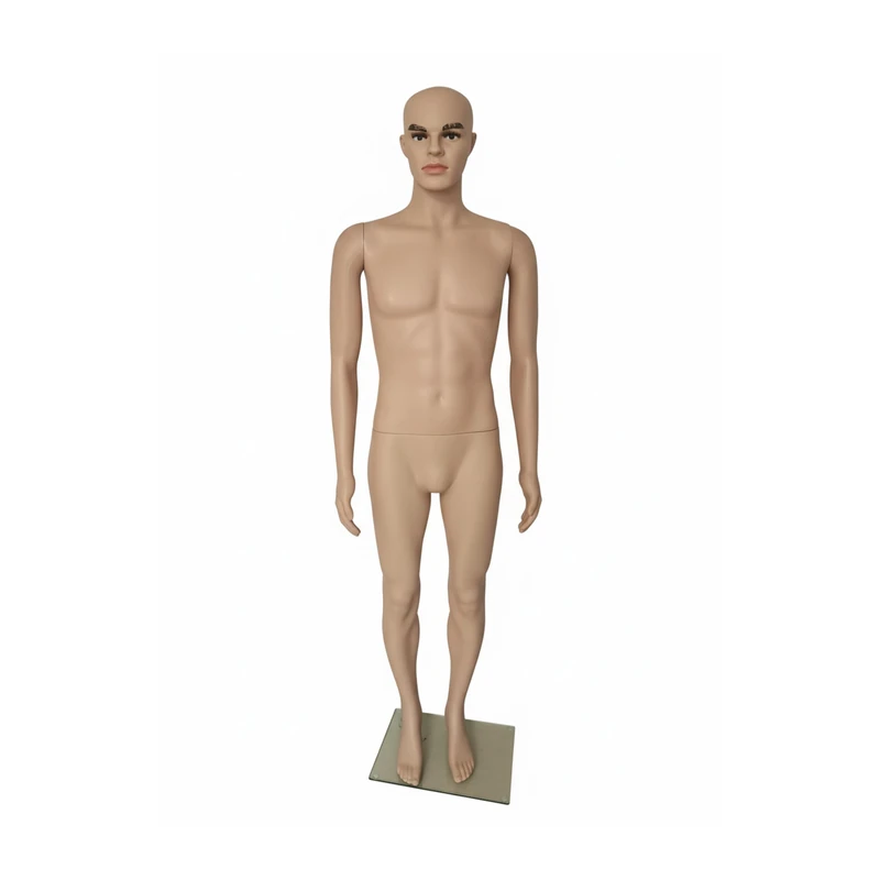 Relaxdays Life-Size Male Mannequin with Movable Head & Arms, Glass Base, 185 cm, Beige