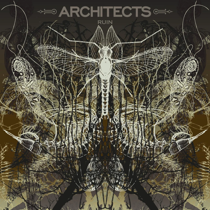 Ruin (Picture Lp) [VINYL] - Image 1