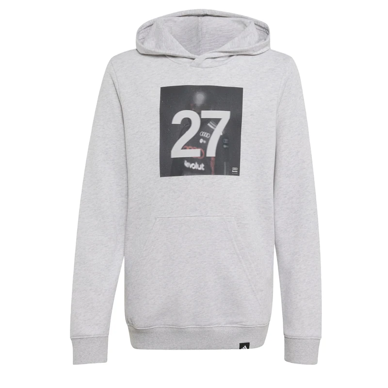 adidas Unisex Kids Audi Revolut Formula One Team Gabriel Bortoleto Graphic I Hoodie Sweatshirt, light grey heather, 9-10 Years