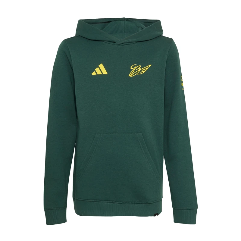adidas Unisex Kids Audi Revolut Formula One Team Gabriel Bortoleto Graphic Iv Hoodie Sweatshirt, mineral green, 7-8 Years - Image 1