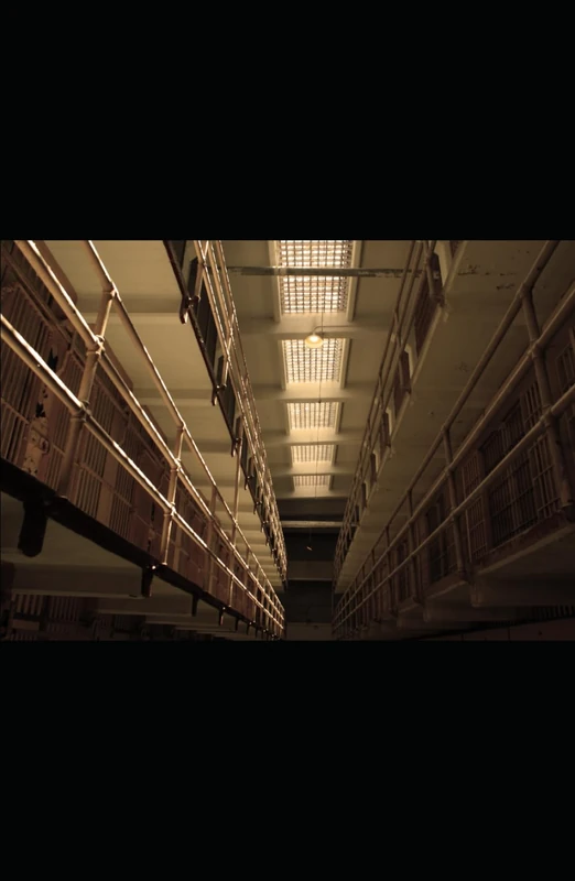 Between the Lines of Life