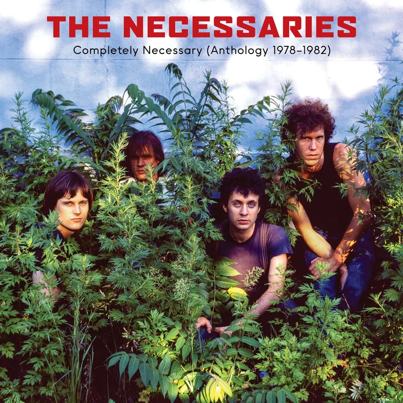 Completely Necessary (Anthology 1978-1982) [VINYL] - Image 1