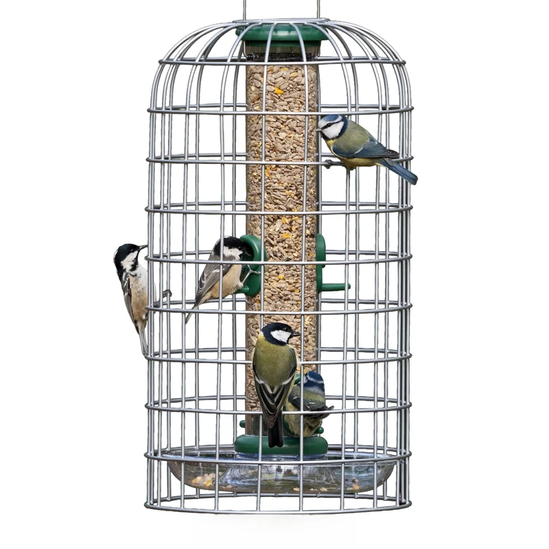 Birdfeeder Guardian Jacobi Jayne - Squirrel-Proof Bird Feeders UK – Hanging Bird Feeder Protection for Small-Bird Feeders for Small Birds Only - Medium