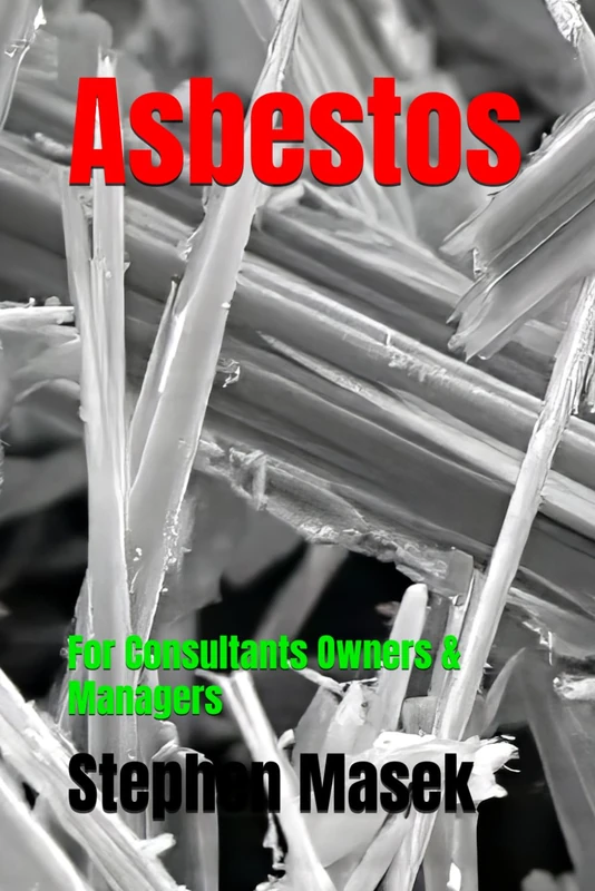 Asbestos: For Consultants Owners & Managers - Image 1