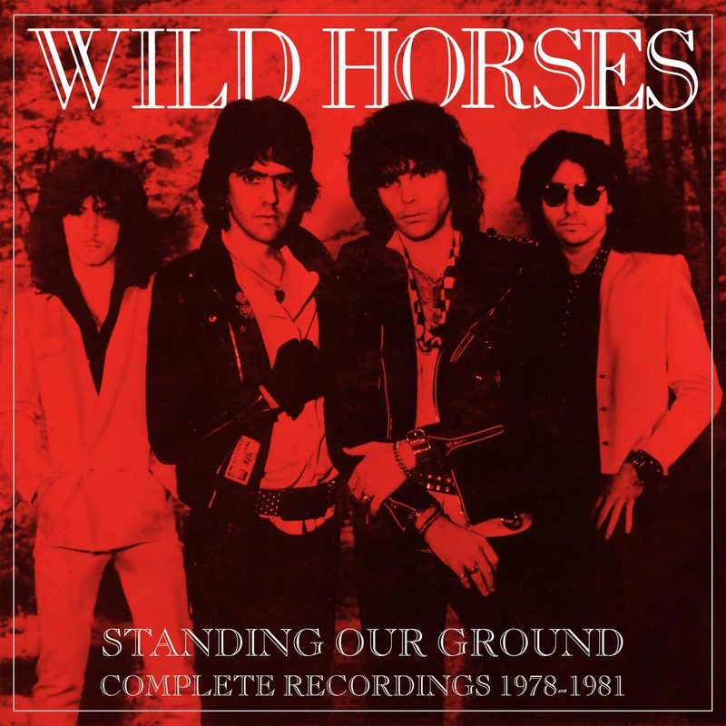 STANDING OUR GROUND: COMPLETE RECORDINGS 1978-1981 6CD BOXSET