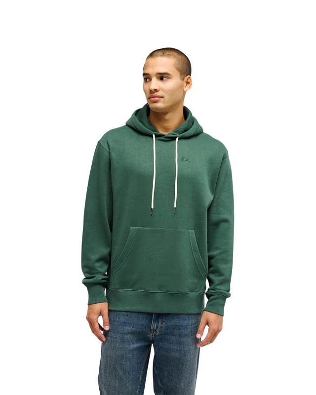 Quiksilver Hoodie SALT WATER HOODIE Mens Green