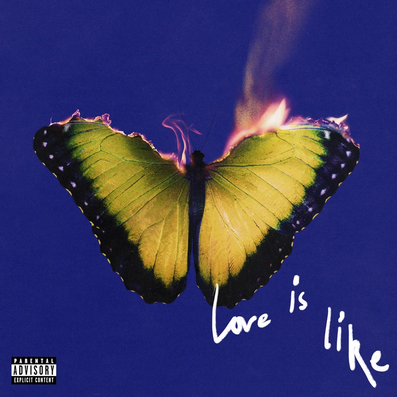 Love Is Like [VINYL]