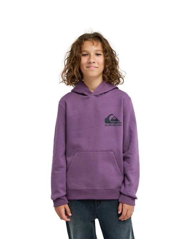 Quiksilver Hoodie OMNI LOGO HOODIE YOUTH Boys Purple