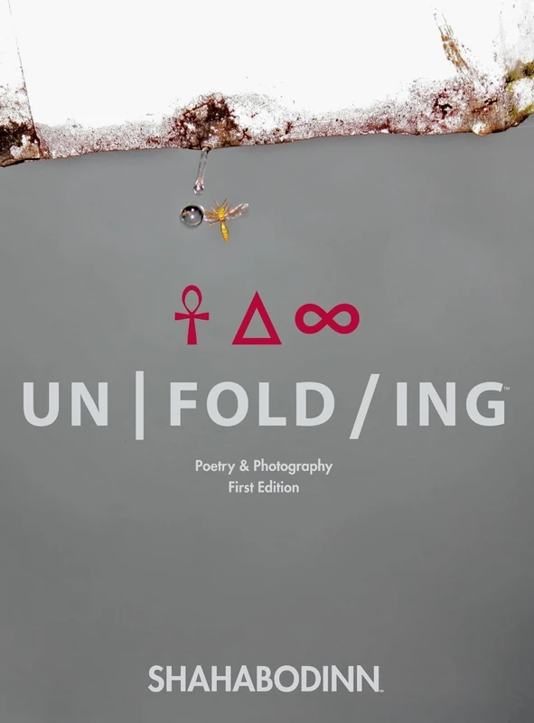 Unfolding: Poetry & Photography