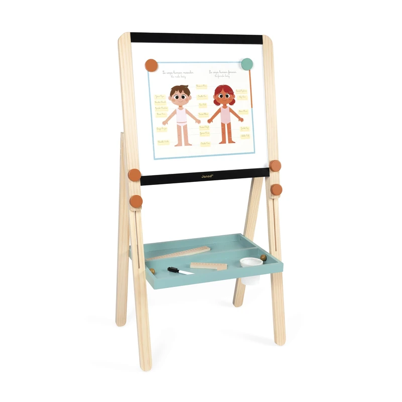 Janod - Height-Adjustable Double-Sided Wooden Board - Magnetic Whiteboard + Chalkboard - 18 Accessories Included - Ages 3+