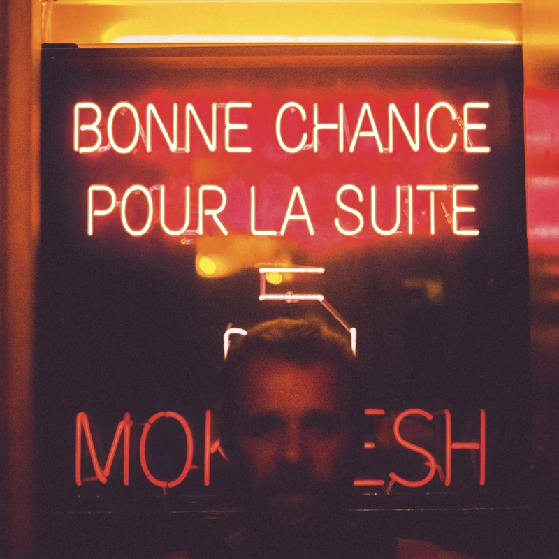 Bonne Chance pour la Suite [VINYL]