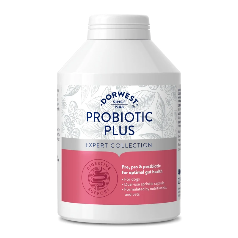 Dorwest Herbs Probiotic Plus for Dogs 400 Capsules, Pre, Pro and Postbiotic with Daily Microbiome Support for Optimal Gut Health