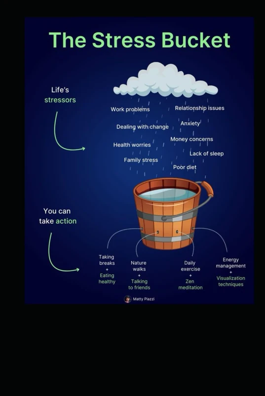 Living a Stressful Life Vol 2 - Stress Management Strategies