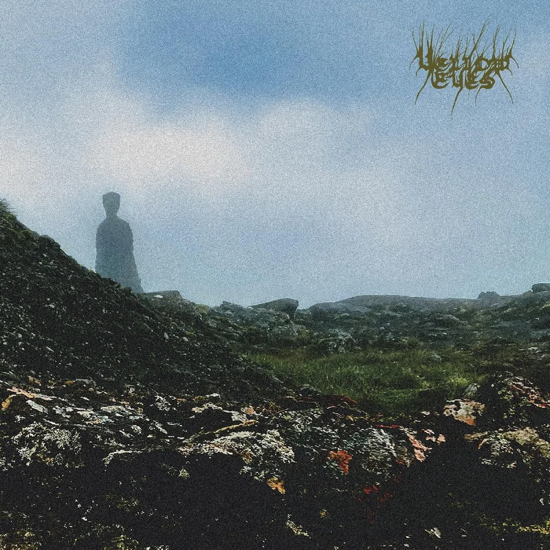 Confusion Gate [Vinyl LP] [VINYL]
