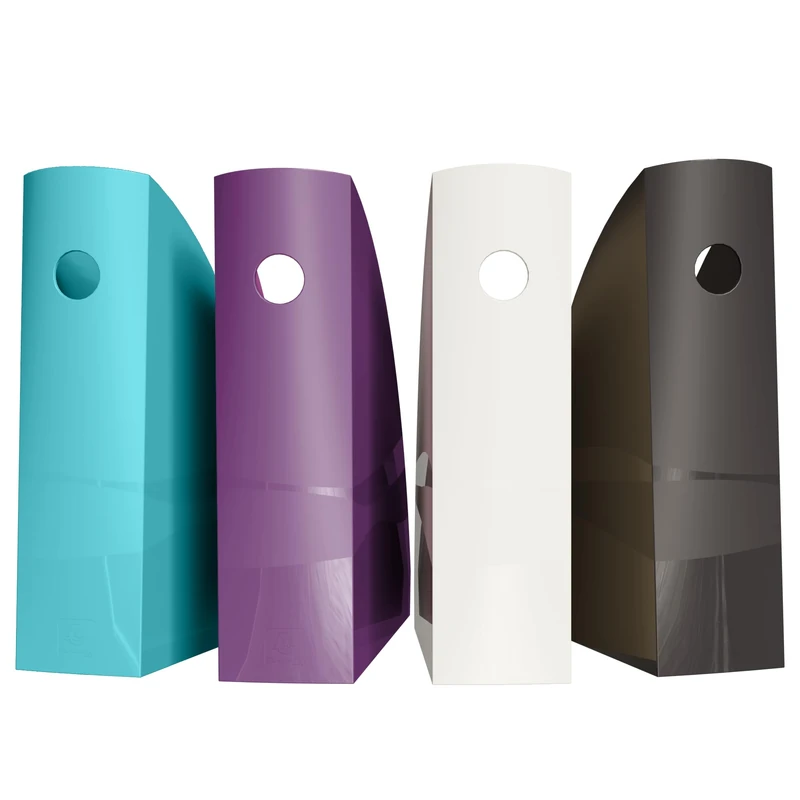 Exacompta - Ref 182101SETD - Set of 4 magazine files MAG-CUBE TITANIA, magazine holder, catalog, magazine, storage for A4 and A4+ documents - width 27.5 cm - Assorted