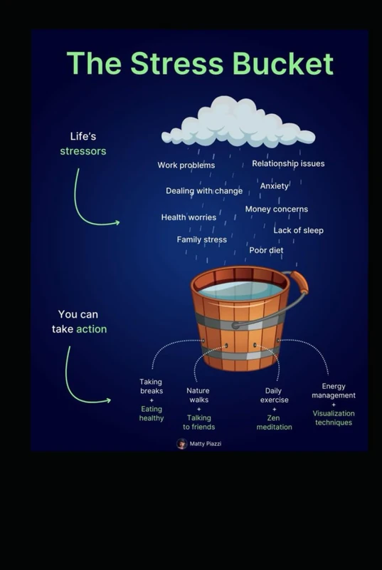 Living a Stressful Life: Practical Strategies for Managing Stress at Home and Work (Vol 1)