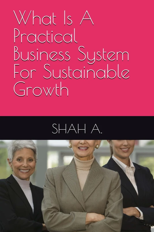 What Is A Practical Business System For Sustainable Growth