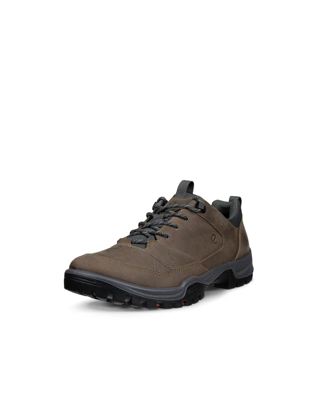 ECCO Men's Receptor Trekk