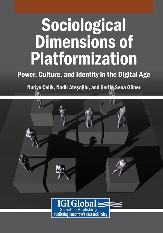 Sociological Dimensions of Platformization: Power, Culture, and Identity in the Digital Age