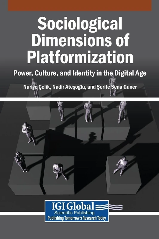 Sociological Dimensions of Platformization: Power, Culture, and Identity in the Digital Age