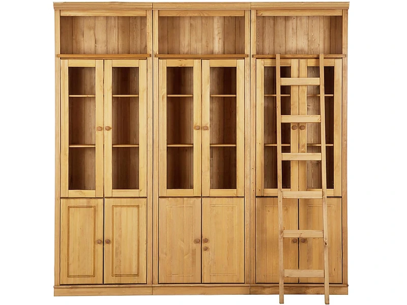 Anita Wall Unit C with 3 bookcases, 6 wooden doors, 6 glass doors and 1 ladder in stained wax,34x223x222 cm (DxHxW)