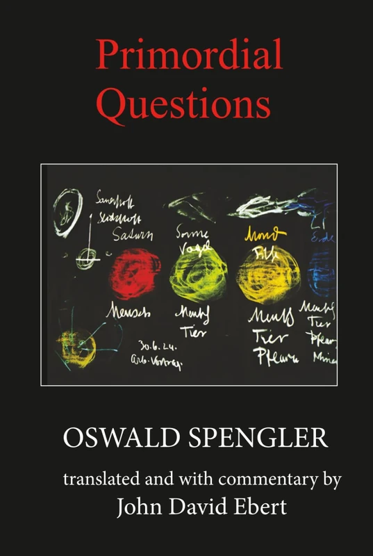 Primordial Questions