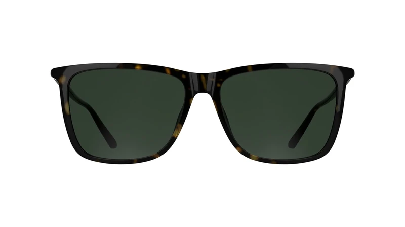 Calvin Klein Men's Sunglasses CK26500S - Havana with Solid Green Lens