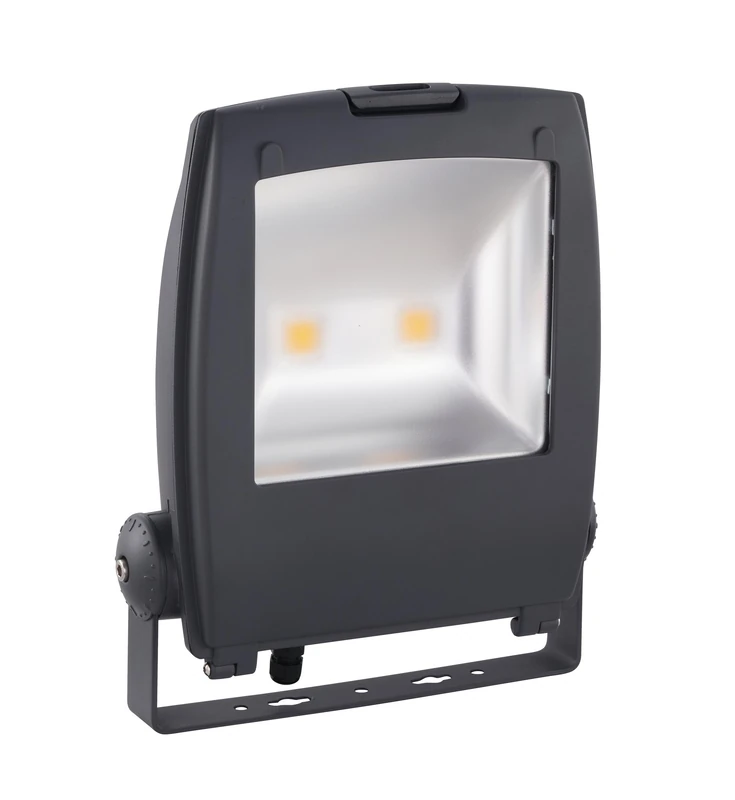 Eglo LED Floodlight Gambettola Pro, Outdoor Lamp with Bracket, Aluminium Spot Light in Anthracite, Clear Glass, Cool White, IP65