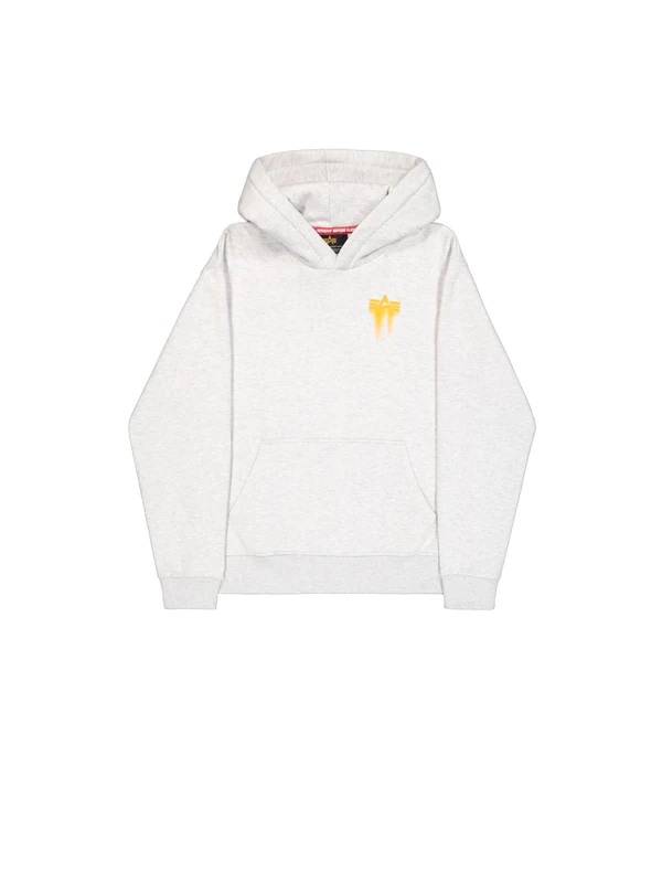 Alpha Industries Men's Spray Print Hoodie, Pastel Grey Melange, M