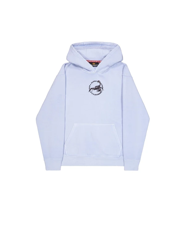 Alpha Industries Men's US Scorpion Backprint Hoodie, Artic Blue, M - Image 1