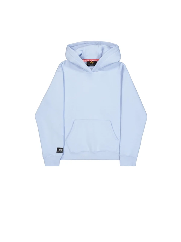 Alpha Industries Men's Label Backprint Hoodie, Artic Blue, L