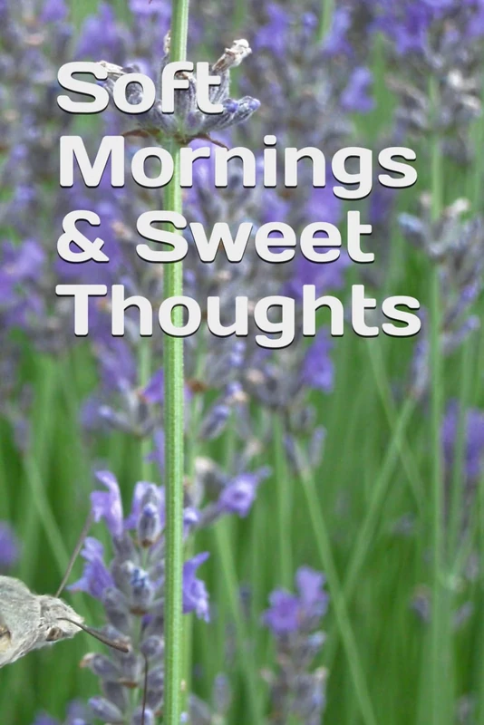 Soft Mornings & Sweet Thoughts
