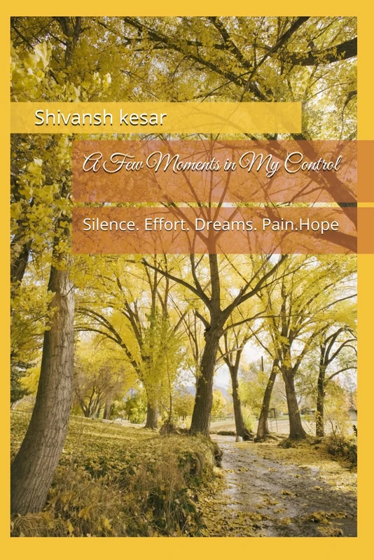 A Few Moments in My Control: Silence. Effort. Dreams. Pain.Hope
