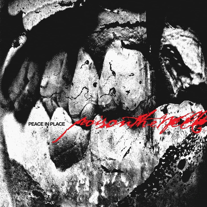 Peace In Place (1LP sleeve) [Ultra Clear] [VINYL]