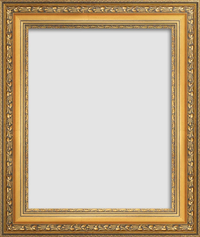 Frame Company Flora Gold Wooden Ornate Picture Photo Frame A2 (23.4x16.5) frame Choice of Sizes***