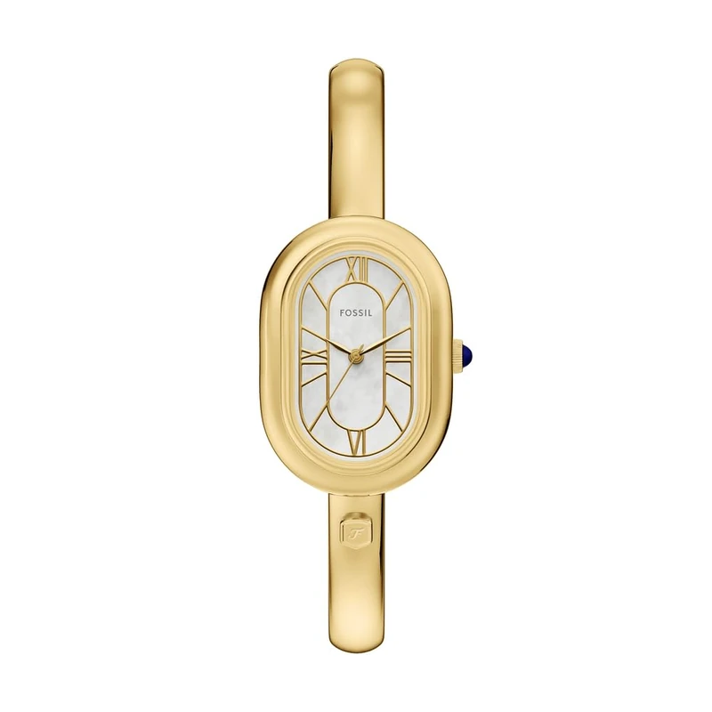Fossil Sloan Women's 25MM Gold-Tone Stainless Steel Watch, ES5444