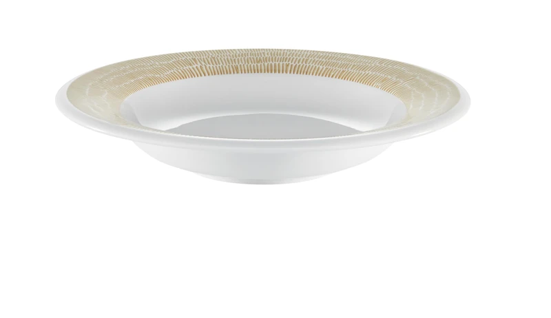 WMF Synergy InNature Set of 6 Deep Plates 24 cm