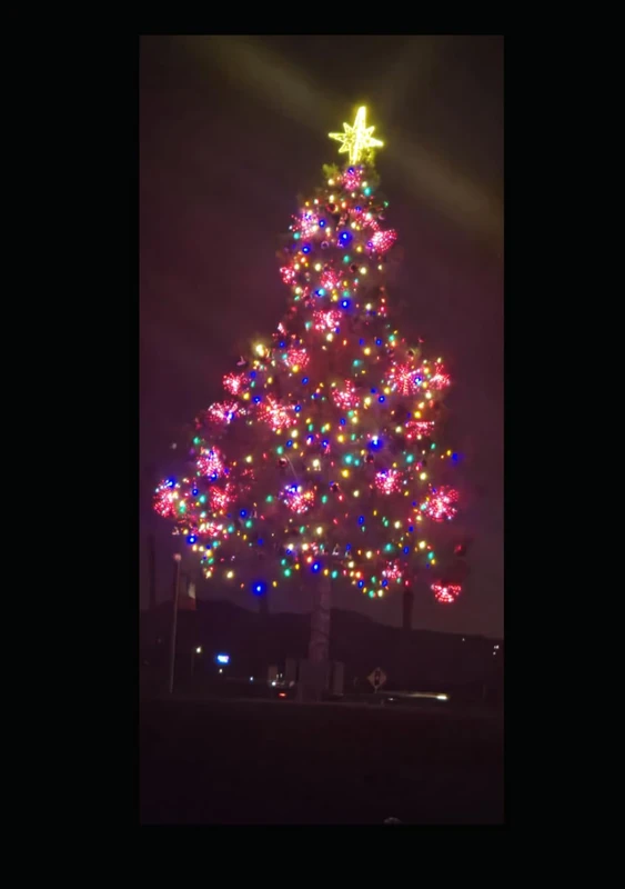 Make The Christmas Magic: Set up the smallest string of tiny white lights.