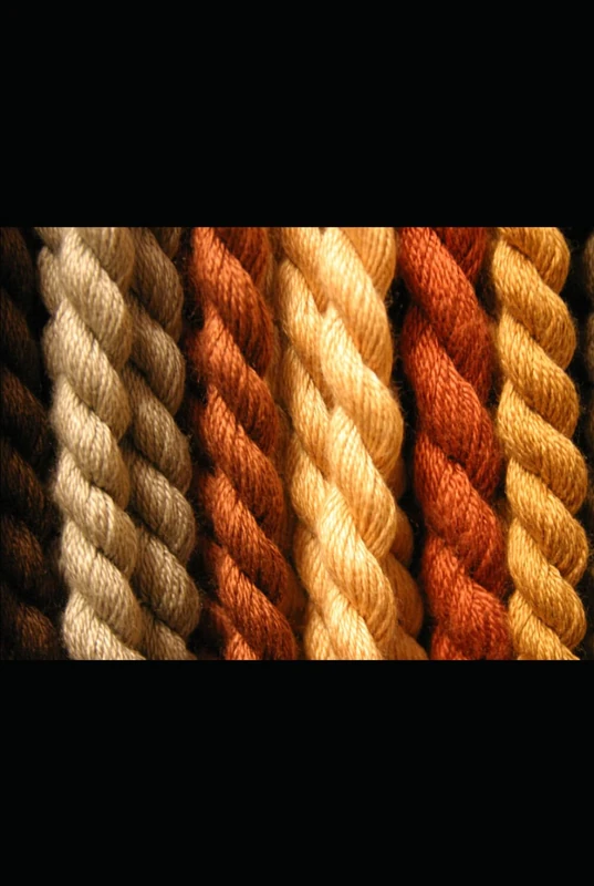 YENİ DÜNYA: Kısa Hikayeler