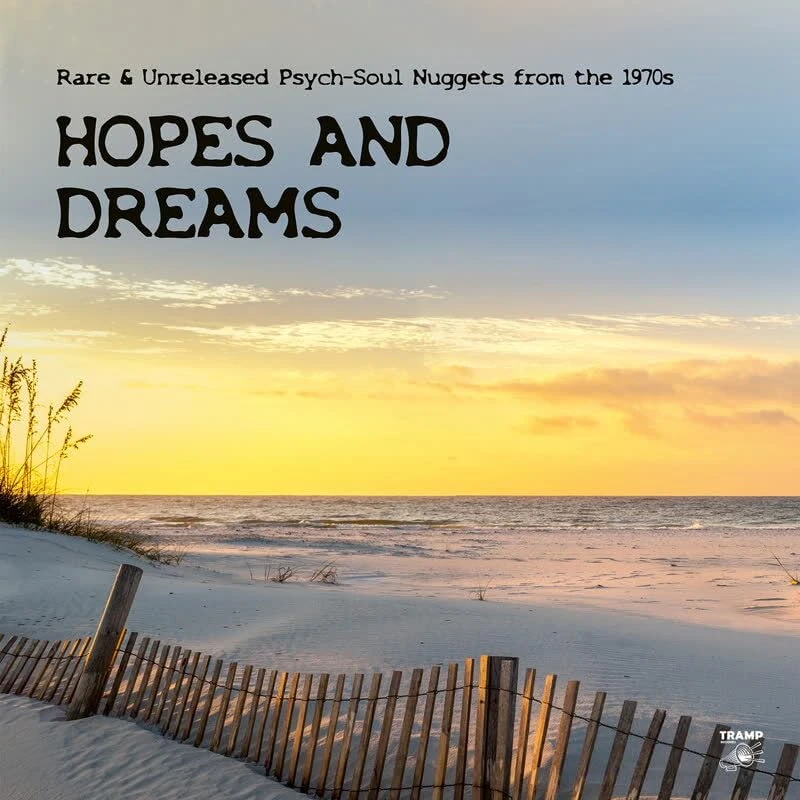 Hopes And Dreams: Rare & Unreleased Psych-Soul Nuggets From The 1970s [VINYL]