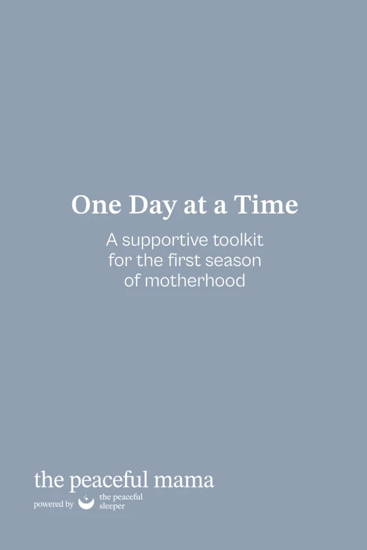 One Day at a Time: A Supportive Toolkit For The First Season of Motherhood - Image 1