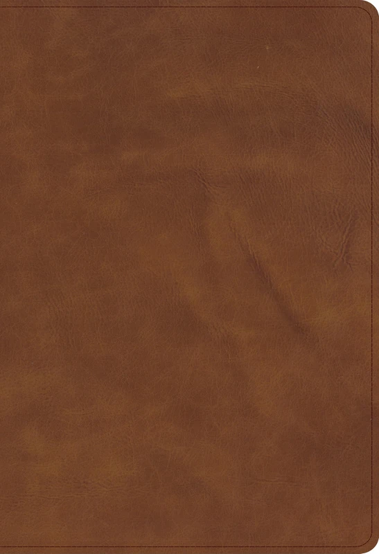 CSB Thinline Bible, Optimal Type, Holman Handcrafted Collection, Marbled Chestnut Premium Calfskin