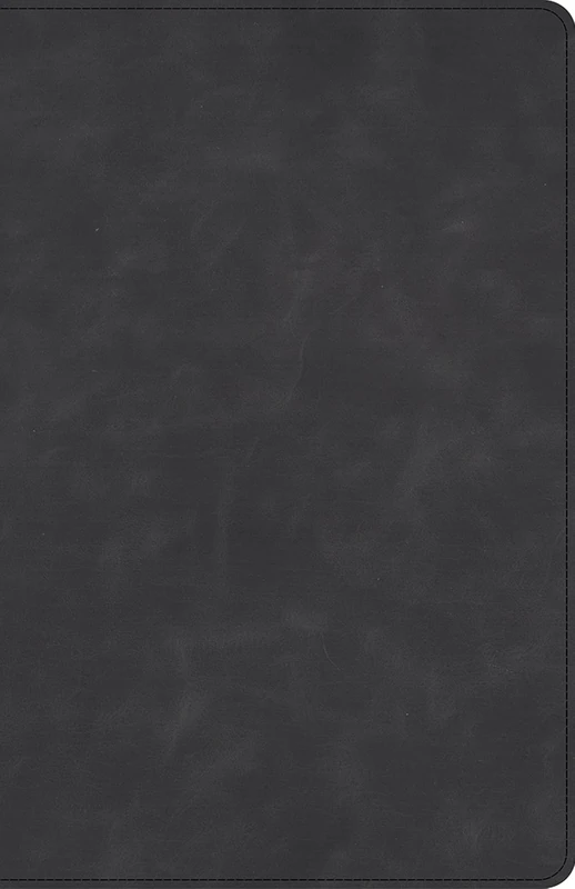 CSB Large Print Personal Size Reference Bible, Optimal Type, Holman Handcrafted Collection, Marbled Slate Premium Calfskin