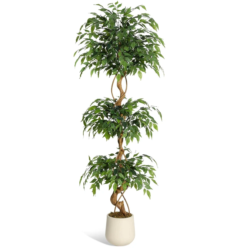 Garvee Artificial Fig Tree with Curved Trunk 180 cm – Realistic Maintenance Free Silk Tree with Modern White Pot for Indoor and Outdoor Decoration in Living Room or Office - Image 1