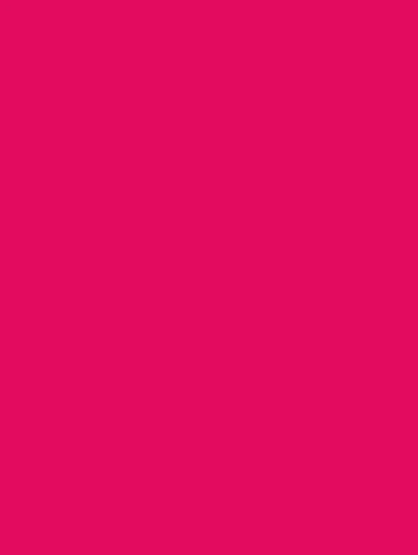 PROFESSIONAL 8.25''X11'' PREMIUM HARDCOVER 500 PAGES RULED JOURNAL/NOTEBOOK/ALL PURPOSE-15: raspberry