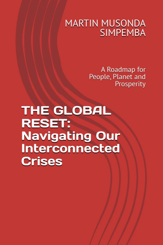 The Global Reset - Navigating Our Interconnected Crises Book